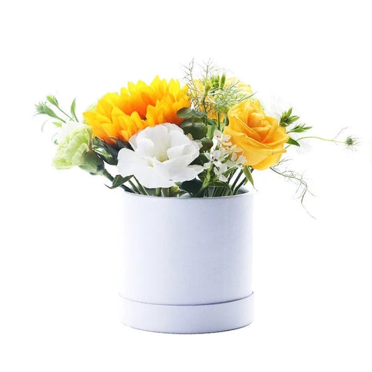 Single Small Cylinder box