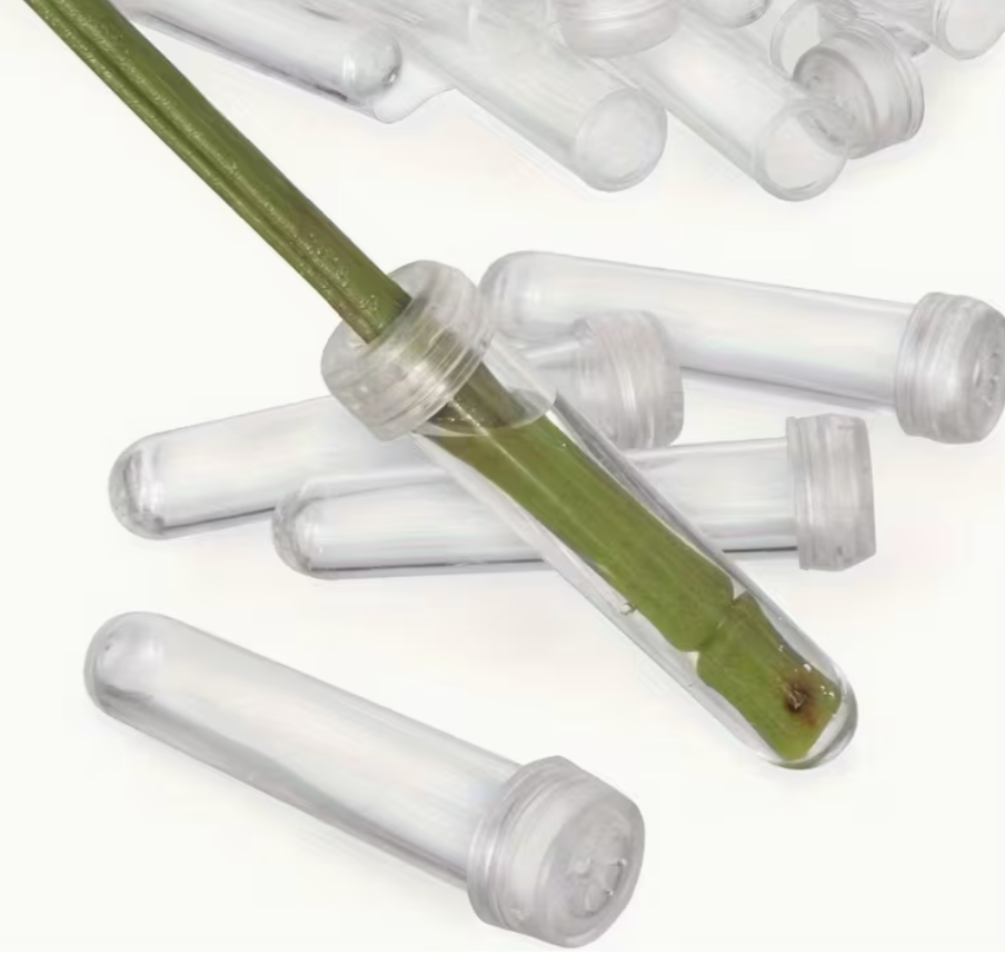Flower Vase Stems(100ct)