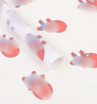 spider Wrapping paper