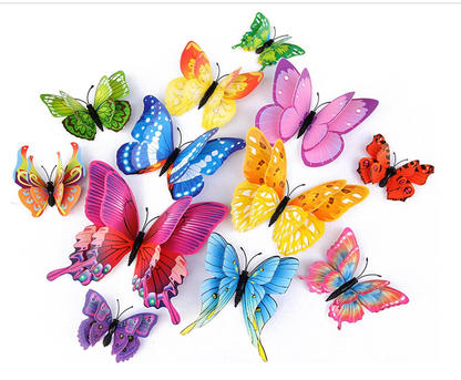 Colorful Butterfly 3d