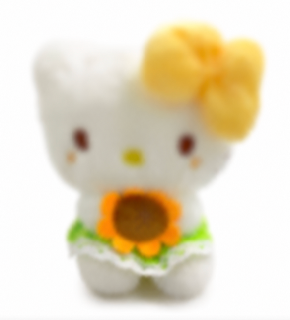 Hk sunflower