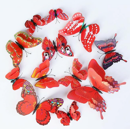 Colorful Butterfly 3d